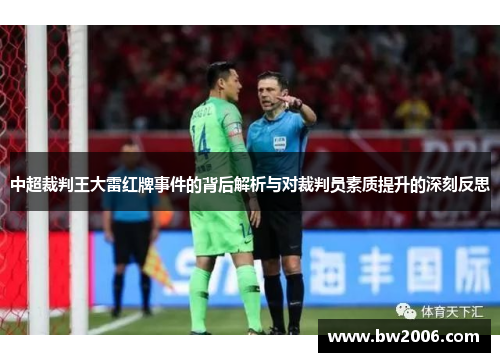 中超裁判王大雷红牌事件的背后解析与对裁判员素质提升的深刻反思