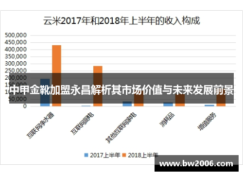 中甲金靴加盟永昌解析其市场价值与未来发展前景