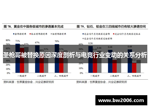 圣枪哥被替换原因深度剖析与电竞行业变动的关系分析