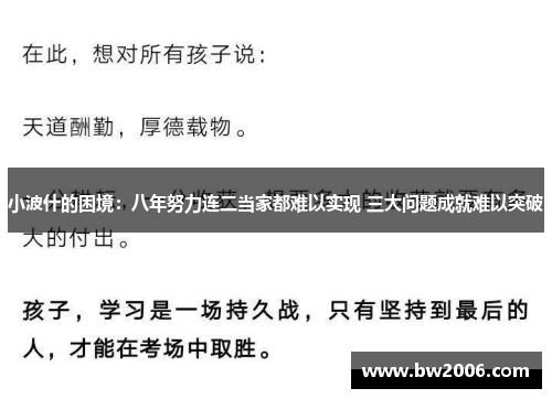 小波什的困境：八年努力连二当家都难以实现 三大问题成就难以突破